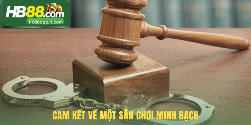 Chính sách miễn trách nhiệm là nền tảng cho một sân chơi công bằng