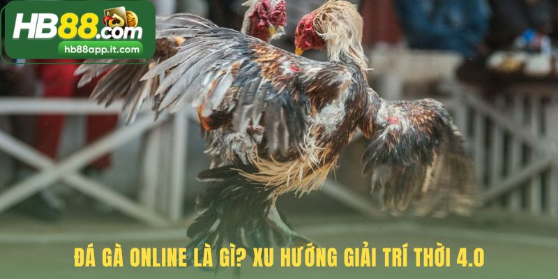 Đá gà online giải trí an toàn nhờ công nghệ 4.0 livestream