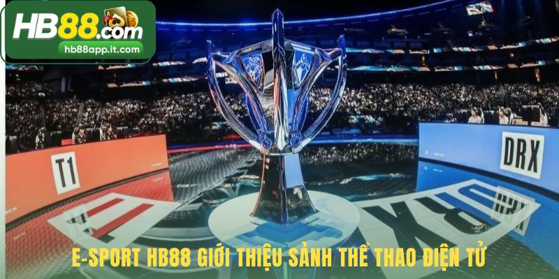 Sảnh e-sport HB88 khẳng định vị thế tiên phong tại Việt Nam