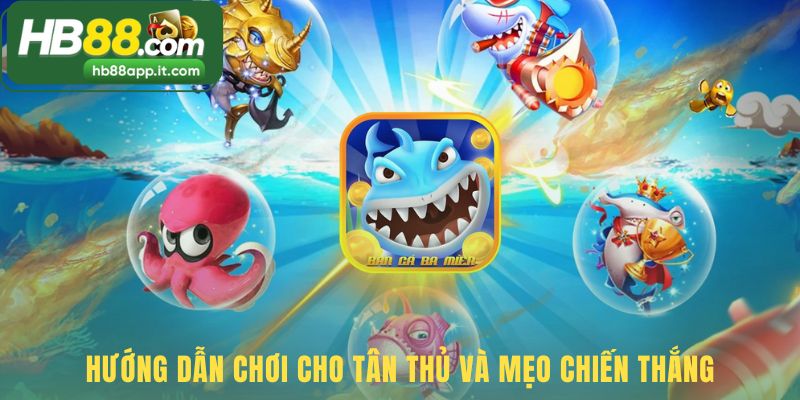 Mẹo chơi hiệu quả từ chiến thuật rỉa đến quản lý vốn