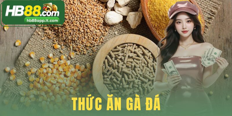 Thức Ăn Gà Đá