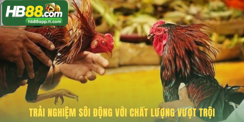 Trải nghiệm nhờ hình ảnh sắc nét và kèo cược đa dạng