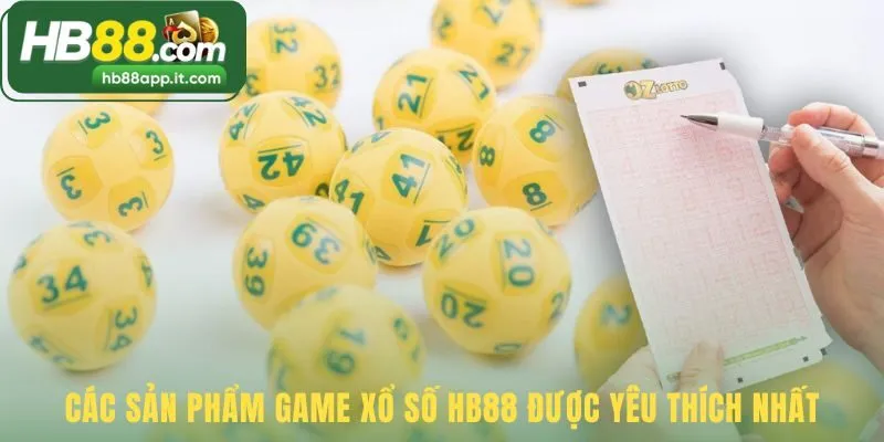 Khám phá những loại hình chơi phổ biến